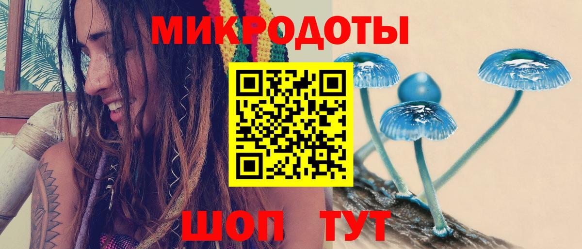 Галлюциногенные грибы прущие грибы Саратов