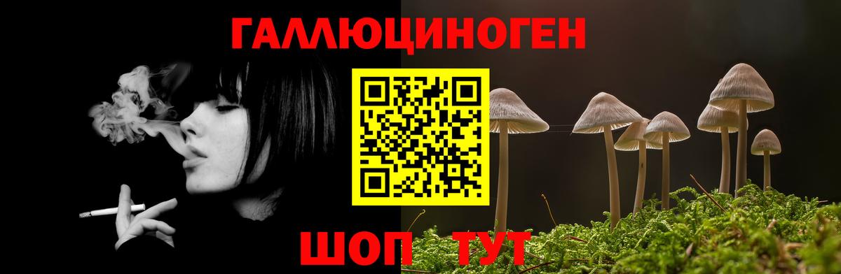 Галлюциногенные грибы MAGIC MUSHROOMS  где можно купить   Саратов  Вход с VPN 